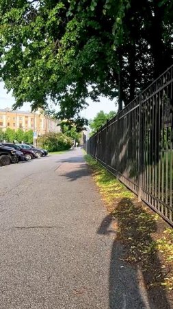 На велосипеде по ул. Рентгена. Санкт-Петербург