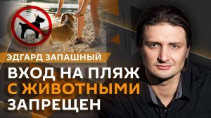 Эдгард Запашный. Инцидент с орангутаном и вейпом, пляжи без животных, ИИ в изучении океана