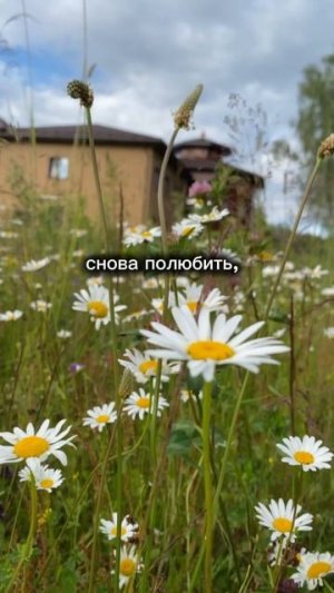 Живите, дышите