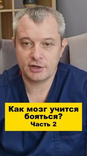 Как мозг учится бояться? Часть 2
