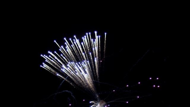 Mitch Martinez (4K).Fireworks (3)