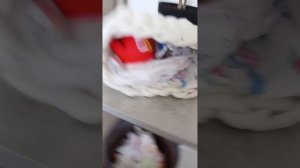 🎉🎂 У Пушистика День Рождения 🎂🎉