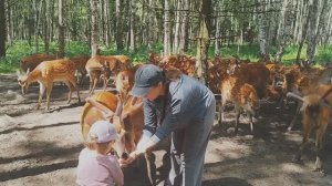 Детский ВЛОГ поездка Городецкий район Экологическая тропа Копорье. Город мастеров Городец.24.06.2025