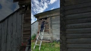 Ремонт в заброшенном доме на хуторе своими руками 05.07. Мой канал в телеграме - Марадуда.