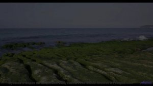 Этот клип - как портал в иной мир, где природа поёт - Rebel -- Mise Darling -- Rebel