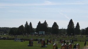 MVI_6101