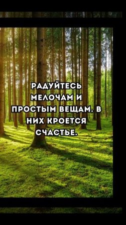 #неподкаст #цитаты #цитатадня #мотивациядня #цитата #цитатыпрожизнь #счастье #мелочи #радость