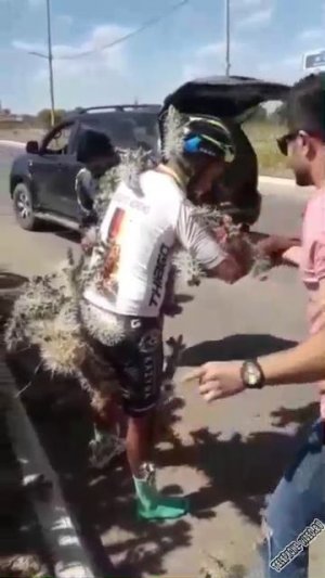 velosipedist