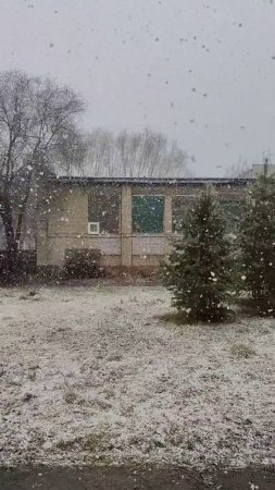Снегопад | Природа #snow #automobile #winter