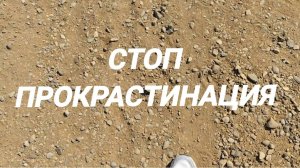 Стоп прокрастинация