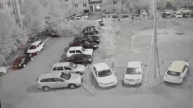 На машину упало дерево.