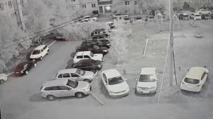 На машину упало дерево.