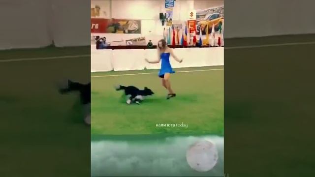 1000068506.mp4