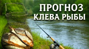 Прогноз Клева Рыбы с 5 по 13 июля 2025! Лунный Календарь рыбака 2025!