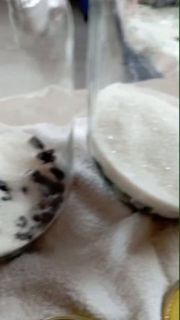 компот из чёрной смородины