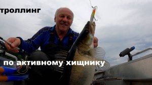 Активный судак на Терве и Лахти.