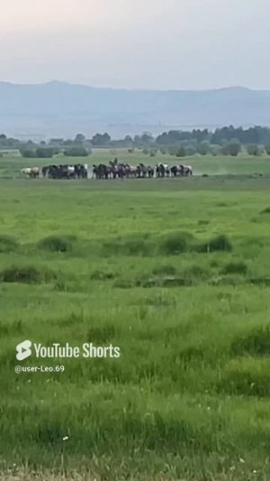 Красота