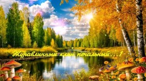 Журавлиный клин печальный...1 ВИДЕО ПЕСНЯ В ДУШУ