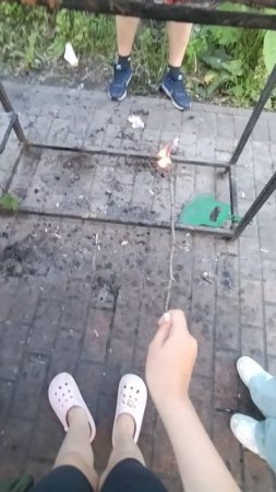 Ромашки!!!!!!