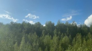 Летний ветер и природа: Все вокруг полнится энергией