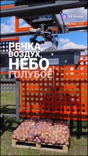 Всероссийский день поля 2025 Волгоград #shorts