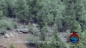 Снежный Человек На Реке Колорадо