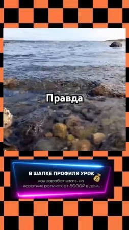 #цитаты#мудрость#жизнь#достоинство