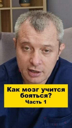 Как мозг учится бояться? Часть 1