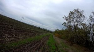 Воспоминания об охоте с Эльзой. Вальдшнеп 2024 (часть 1)