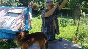 Жизнь в деревне. На дворе - 06.07.25. Хроника нашего дня