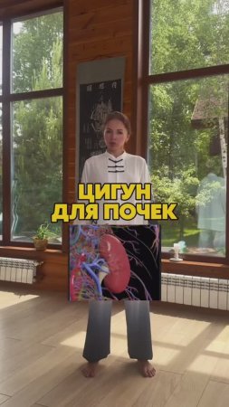 Цигун для почек