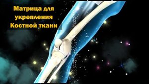 🎧 Звуковая матрица для укрепления костной ткани и суставов