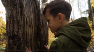 Каждая секунда - как вспышка эмоций под этот трек - Melow (XXIX) -- opo -- Estudios Indigeniformes