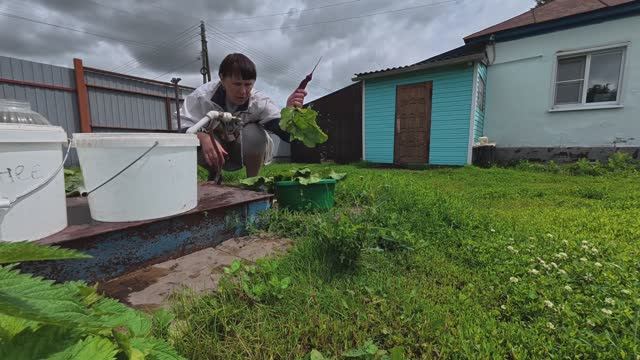 Про ЖИЗНЬ В МАЛЕНЬКОЙ ДЕРЕВНЕ смотреть онлайн