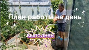 НАТУХАЕВСКАЯ. 6 июля.Подрезка помидоров/Переработка Яблоков/ варень/Участок/теплица и пр. И на МОРЕ!