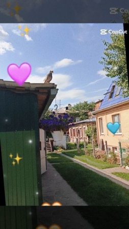 Голубь Андрюха