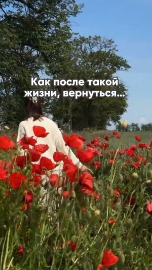 Разверни👇