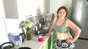 УТРО В ДЕРЕВНЕ. ЦЫПЛЯТА НАПАДАЮТ. ЗАГОТАВЛИВАЕМ ТРАВЫ. ОГОРОДИЛИ МАЛИНУ. НАШЛИ ЛЕСНУЮ ЗЕМЛЯНИКУ.