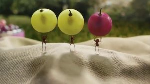 мегафон реклама уматурман музыка  наушники муравьи  тнт 4 -   23 март