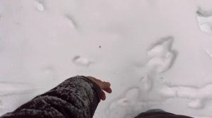 Часть 12. И в кого Егор такой бобр?