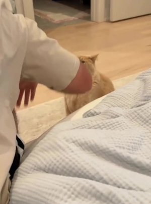 Подпишись 👉 https://vk.com/ykrasheniy_iz_kamny
