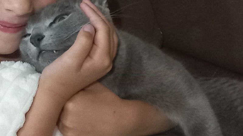 подготовка к отпуску