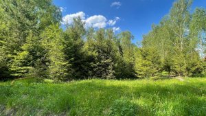 Лесной участок на Новой Риге