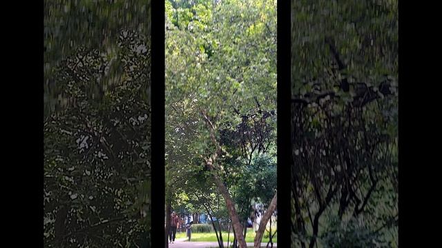 прогулка с солнышком . часть вторая