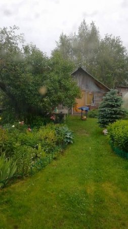Лето нам изменило