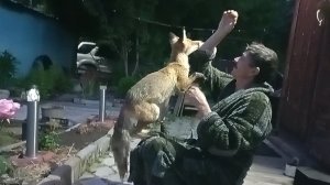 (1058) Лиса и ёжик приходят в гости. Июль 2025
