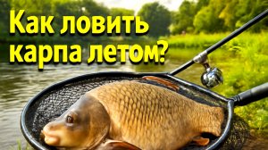 Летняя ловля КАРПА: Секреты, которые изменят твою рыбалку!