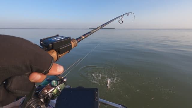Открытие сезона ОВХ. Рыбалка на отводной. Ловим судака смотреть онлайн