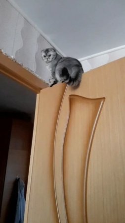 Это сейчас, а это тогда