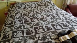 Котоплед. Готовая работа. Обзор.